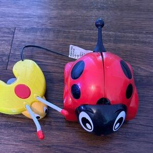 Colorful Ladybug Pull Toy